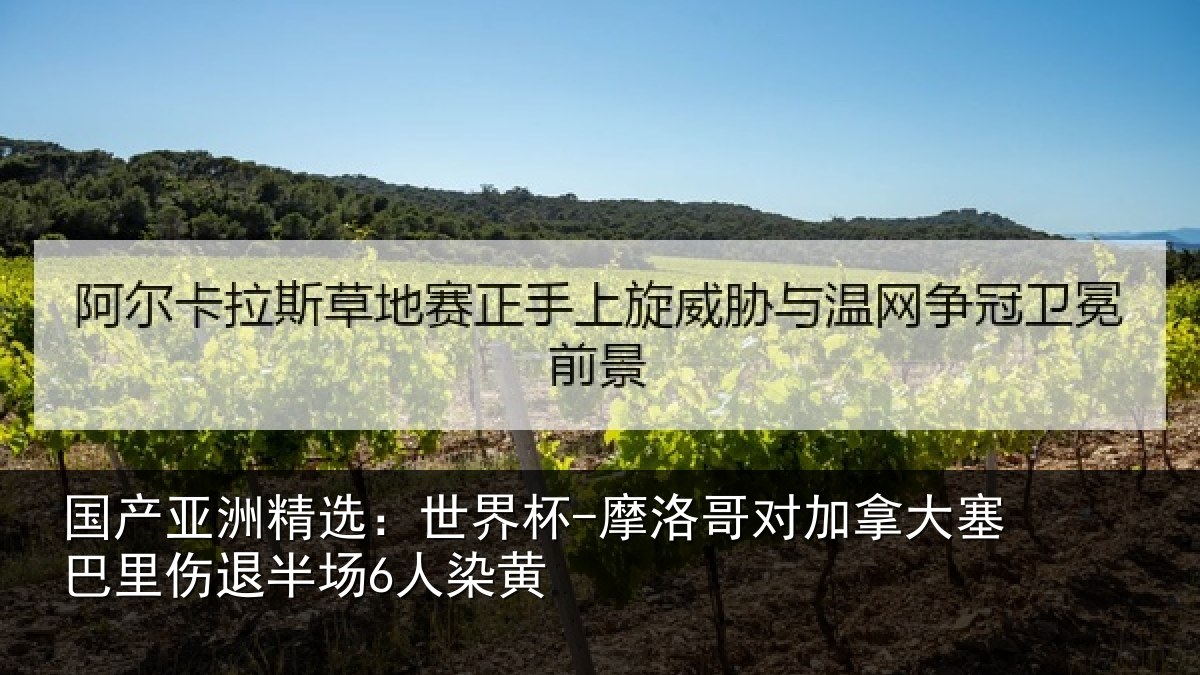 国产亚洲精选：世界杯-摩洛哥对加拿大塞相关情况黄