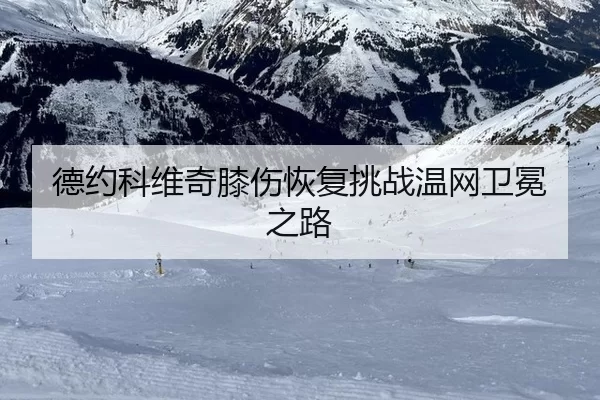 de-yue-ke-wei-qi-xi-shang-hui-fu-tiao-zhan-wen-wang-wei-mian-zhi-lu-3-487.jpg