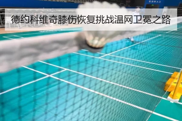 德约科维奇膝伤恢复挑战温网卫冕之路