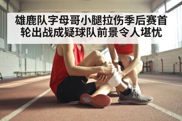 雄鹿队字母哥小腿拉伤季后赛首轮出战成疑球队前景令人堪忧