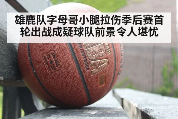 NBA playoffs